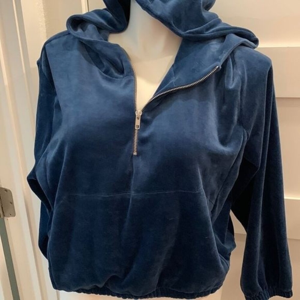 NWOT BP. Velour Crop Hooded Sweatshirt